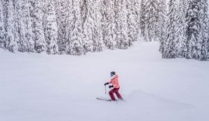 Preview wallpaper skier, snow, winter, trees, snowy