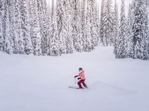 Preview wallpaper skier, snow, winter, trees, snowy