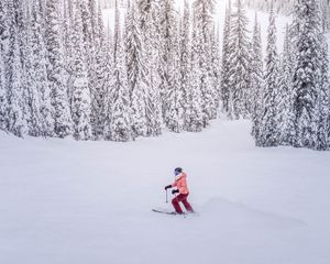 Preview wallpaper skier, snow, winter, trees, snowy