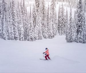 Preview wallpaper skier, snow, winter, trees, snowy