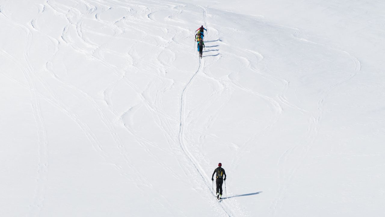 Wallpaper skiers, mountain, snow, path