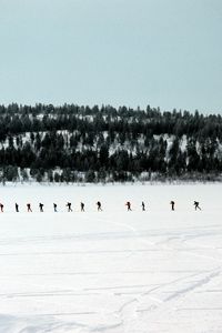 Preview wallpaper skiers, tourists, number, snow, travel, wood, trees