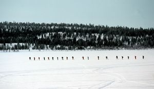 Preview wallpaper skiers, tourists, number, snow, travel, wood, trees