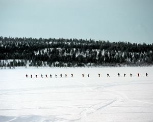 Preview wallpaper skiers, tourists, number, snow, travel, wood, trees