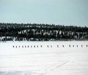 Preview wallpaper skiers, tourists, number, snow, travel, wood, trees