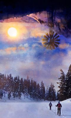 240x400 Wallpaper skiing, forest, sun, landscape