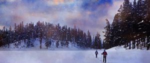 Preview wallpaper skiing, forest, sun, landscape