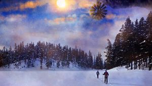 Preview wallpaper skiing, forest, sun, landscape