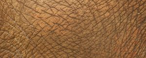 Preview wallpaper skin, folds, texture, animal