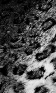 Preview wallpaper skin, fur, leopard, black white, texture