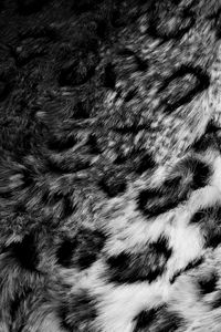 Preview wallpaper skin, fur, leopard, black white, texture