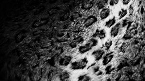 Preview wallpaper skin, fur, leopard, black white, texture