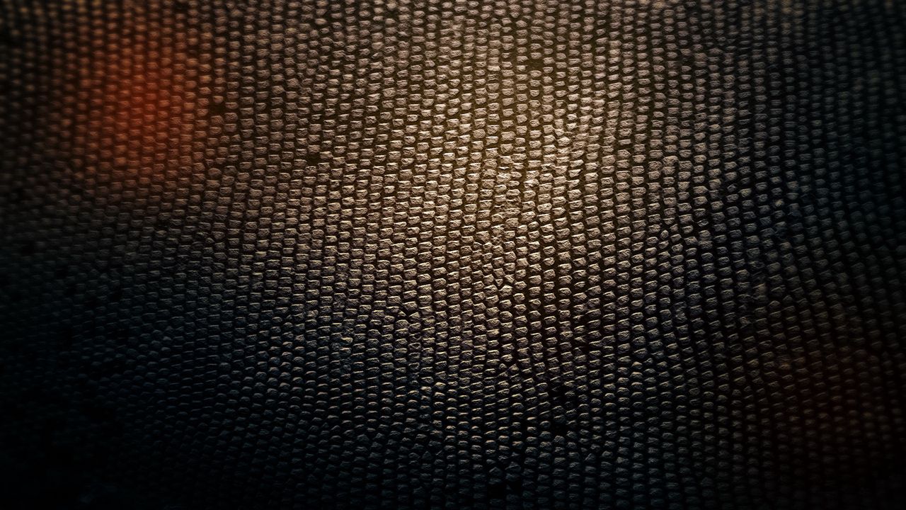 Wallpaper skin, snake, texture, background, shadow