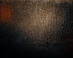 Preview wallpaper skin, snake, texture, background, shadow