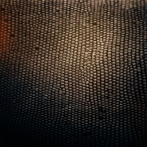 Preview wallpaper skin, snake, texture, background, shadow