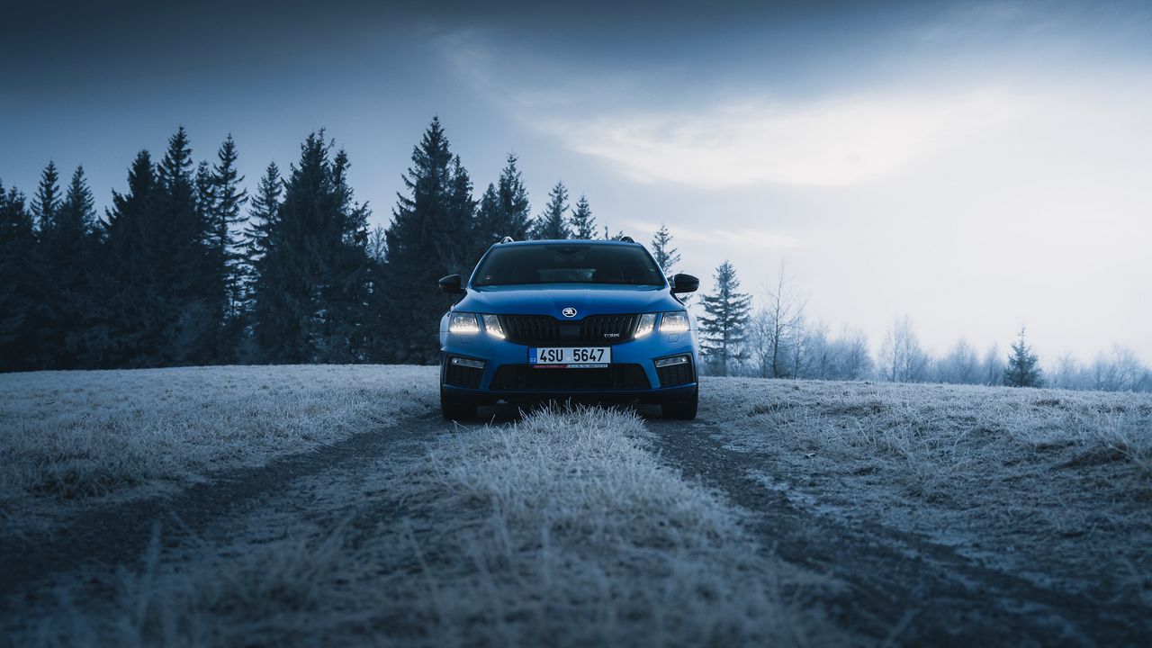 Wallpaper skoda, car, blue, road, forest, winter