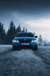 Preview wallpaper skoda, car, blue, road, forest, winter