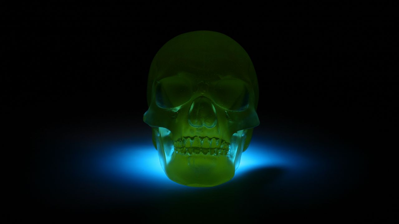 Wallpaper skull, 3d model, neon, shadow