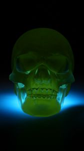 Preview wallpaper skull, 3d model, neon, shadow