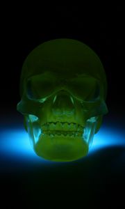 Preview wallpaper skull, 3d model, neon, shadow