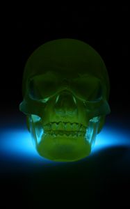 Preview wallpaper skull, 3d model, neon, shadow