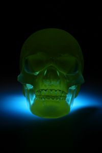 Preview wallpaper skull, 3d model, neon, shadow