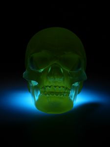 Preview wallpaper skull, 3d model, neon, shadow