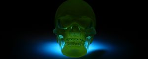 Preview wallpaper skull, 3d model, neon, shadow