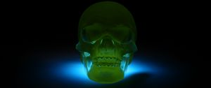 Preview wallpaper skull, 3d model, neon, shadow