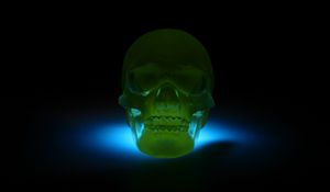 Preview wallpaper skull, 3d model, neon, shadow