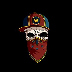 Preview wallpaper skull, cap, kerchief, logo, inst
