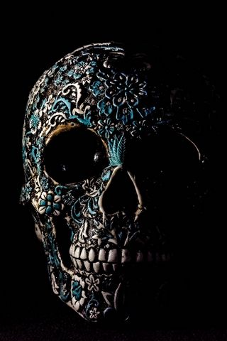320x480 Wallpaper skull, dark, patterns, bones