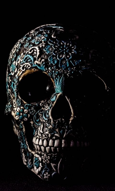 480x800 Wallpaper skull, dark, patterns, bones