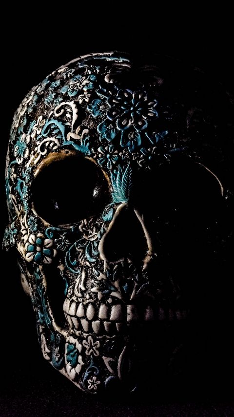 480x854 Wallpaper skull, dark, patterns, bones