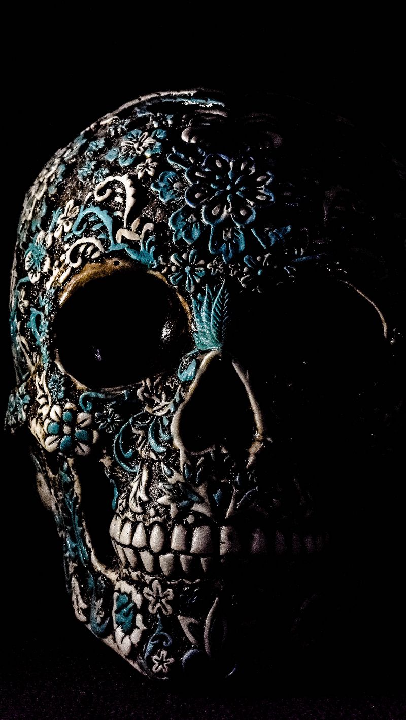 800x1420 Wallpaper skull, dark, patterns, bones