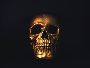 Preview wallpaper skull, gold, ornament, shine