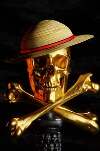 Preview wallpaper skull, hat, gold