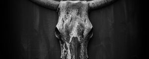 Preview wallpaper skull, horns, black and white