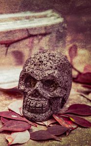 Preview wallpaper skull, leaves, stone, aesthetics