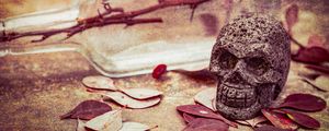 Preview wallpaper skull, leaves, stone, aesthetics