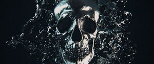 Preview wallpaper skull, metal, splash, frozen, dark