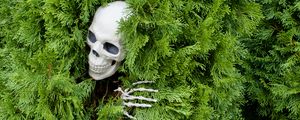 Preview wallpaper skull, skeleton, bush, funny, halloween
