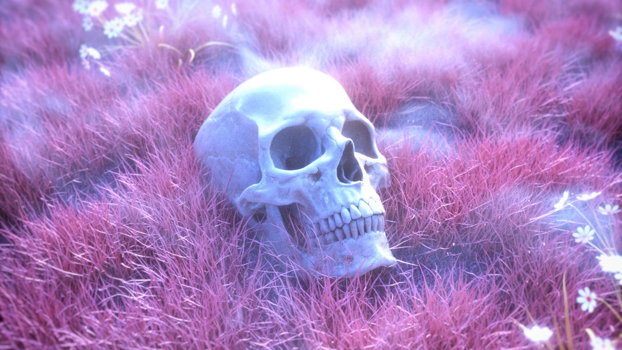 Wallpaper skull, skeleton, grass, pink