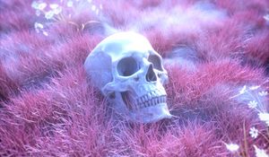 Preview wallpaper skull, skeleton, grass, pink