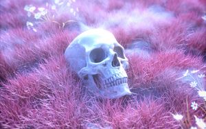 Preview wallpaper skull, skeleton, grass, pink