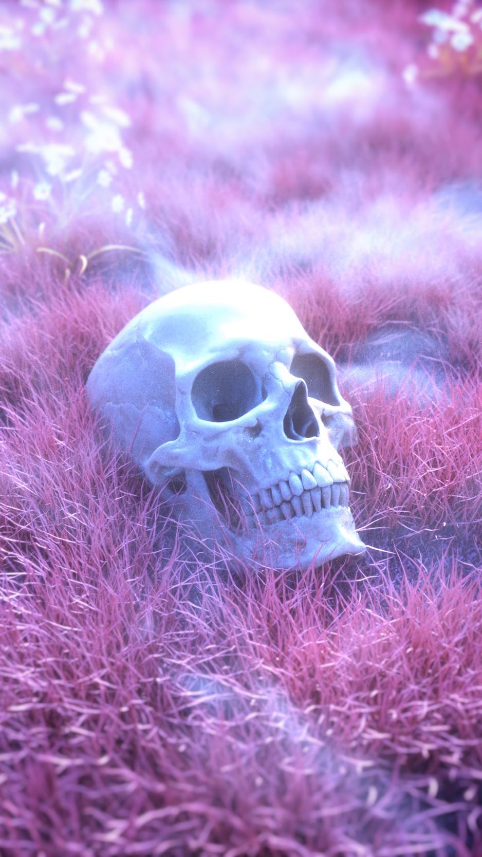 Download Cute Skeleton Skull Burial Iphone Wallpaper  Wallpaperscom