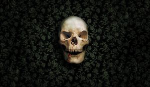 Preview wallpaper skull, skeleton, wall, green, dark