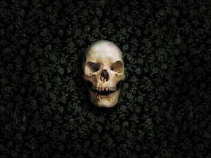 Preview wallpaper skull, skeleton, wall, green, dark