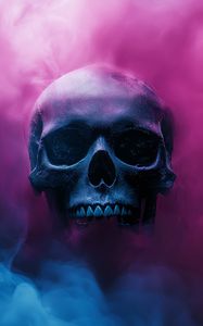 Preview wallpaper skull, smoke, pink, blue