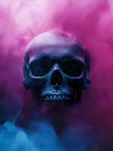 Preview wallpaper skull, smoke, pink, blue